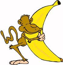 monkey-with-banana.jpg